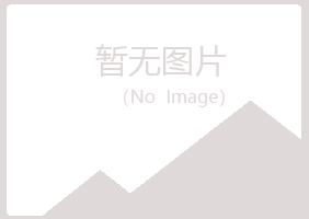 潍城区夏岚金属有限公司